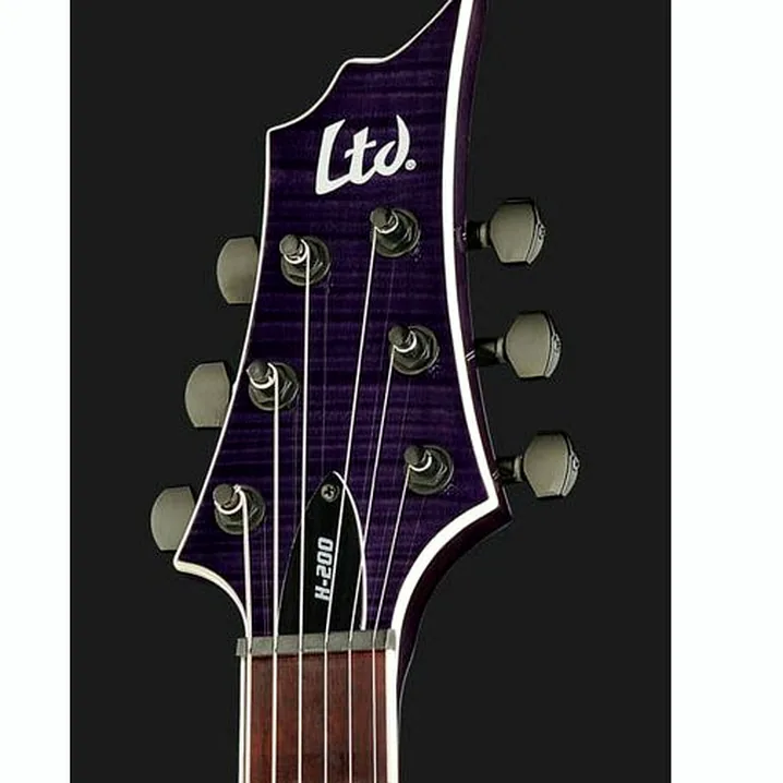 Test e Recensione Chitarra Elettrica ESP LTD H-200FM See Thru Purple