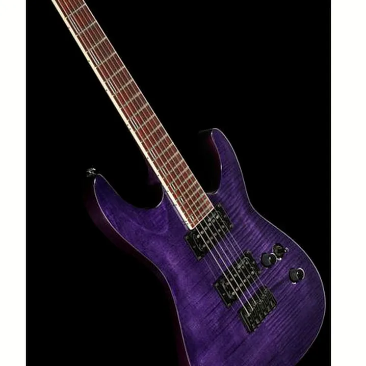 Test e Recensione Chitarra Elettrica ESP LTD H-200FM See Thru Purple