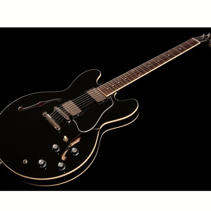 Test e Recensione Chitarra Elettrica Gibson ES-335 Dot Vintage Ebony