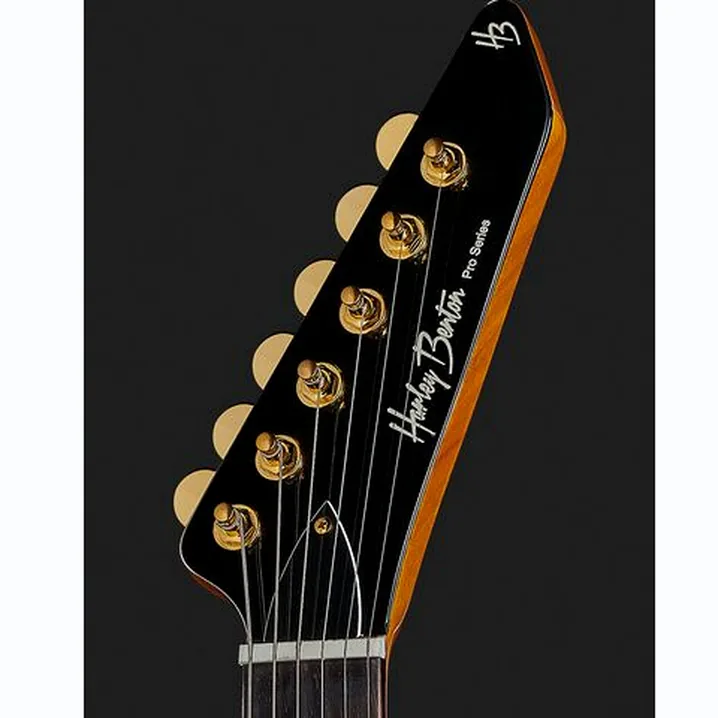 Test e Recensione Chitarra Elettrica Harley Benton EX-76 Classic GHW AN