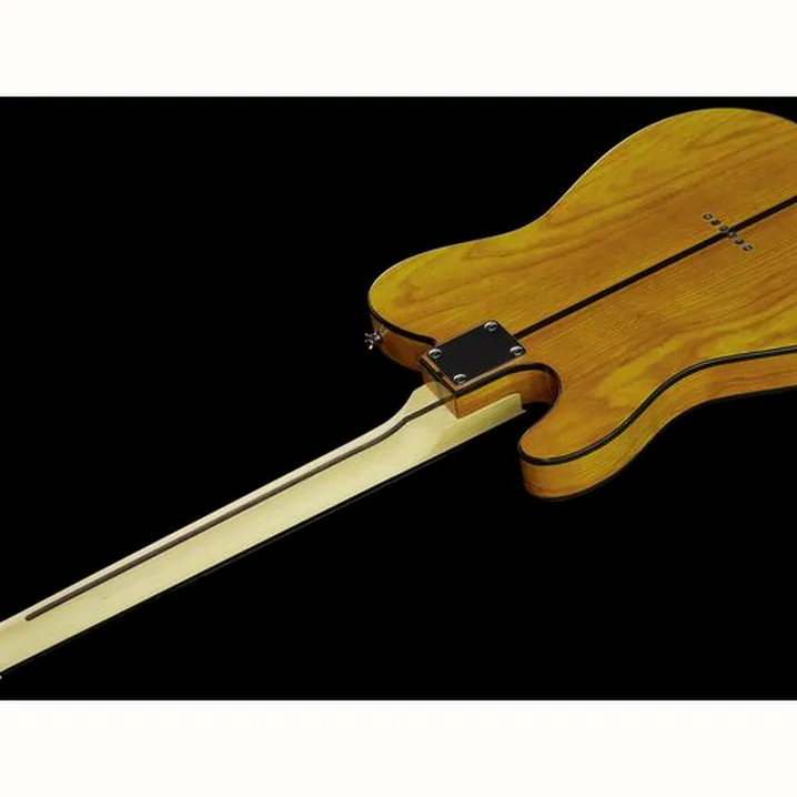 Test e Recensione Chitarra Elettrica Harley Benton TE-80 NT Deluxe Series Set 1