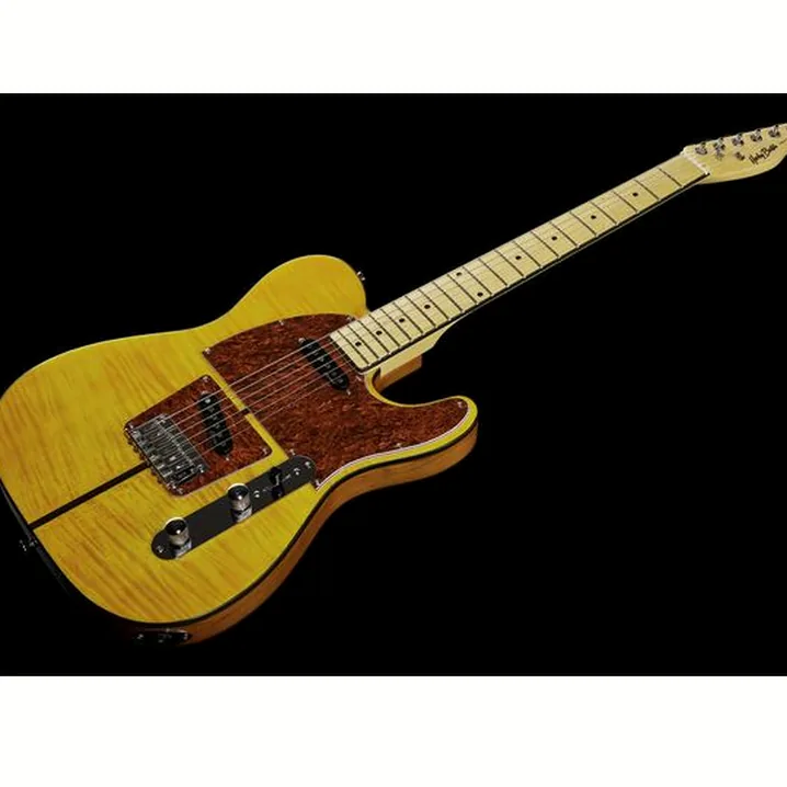 Test e Recensione Chitarra Elettrica Harley Benton TE-80 NT Deluxe Series Set 1