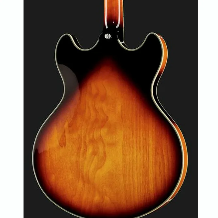 Test e Recensione Chitarra Elettrica Larry Carlton H7 VS