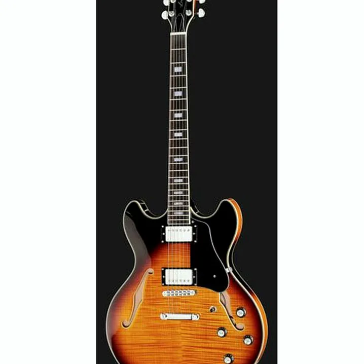 Test e Recensione Chitarra Elettrica Larry Carlton H7 VS