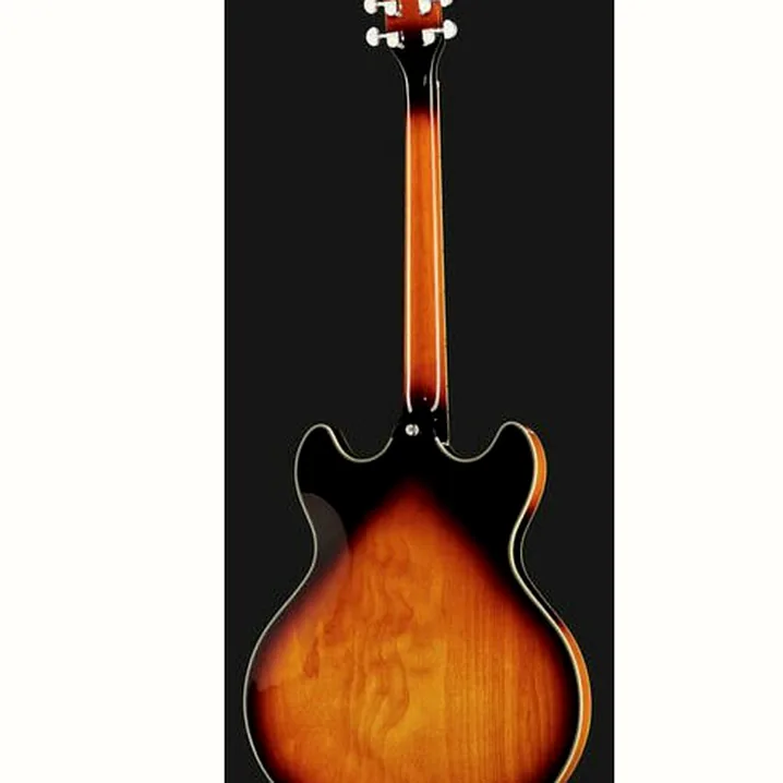 Test e Recensione Chitarra Elettrica Larry Carlton H7 VS