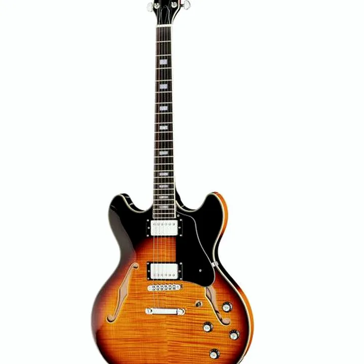 Test e Recensione Chitarra Elettrica Larry Carlton H7 VS