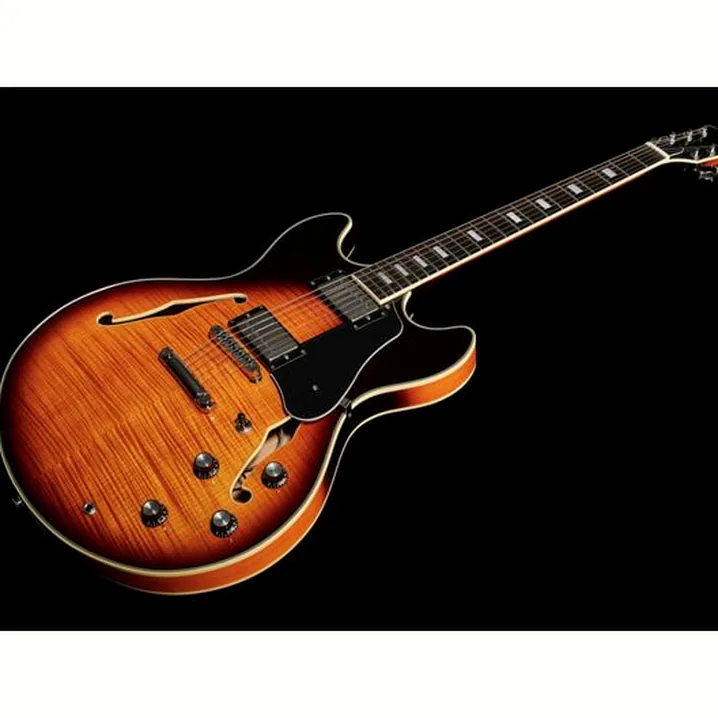 Test e Recensione Chitarra Elettrica Larry Carlton H7 VS