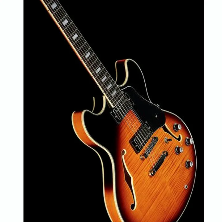 Test e Recensione Chitarra Elettrica Larry Carlton H7 VS