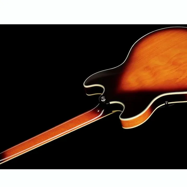 Test e Recensione Chitarra Elettrica Larry Carlton H7 VS