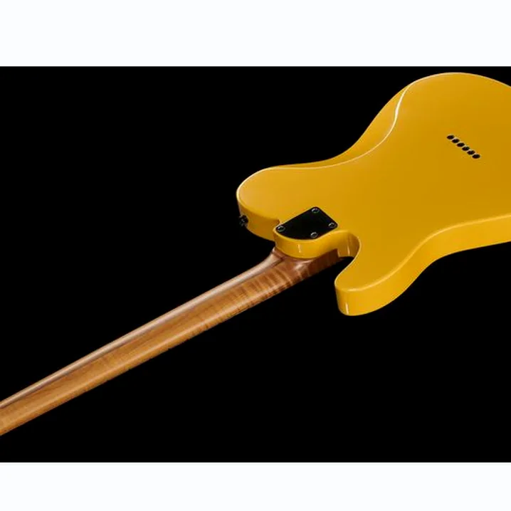 Test e Recensione Chitarra Elettrica LSL Baribone 24 Butterscotch Light