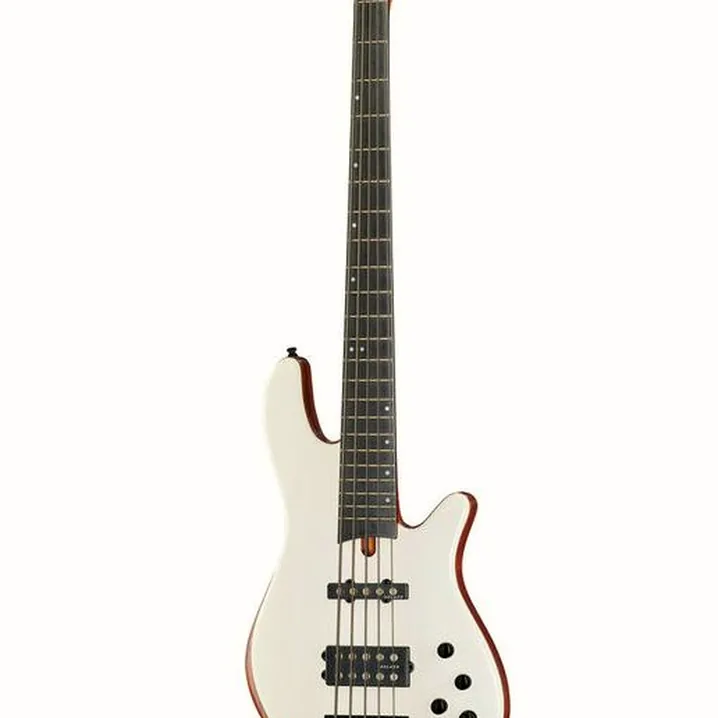 Test e Recensione del basso elettrico Franz Bassguitars Merak 5 Headless White