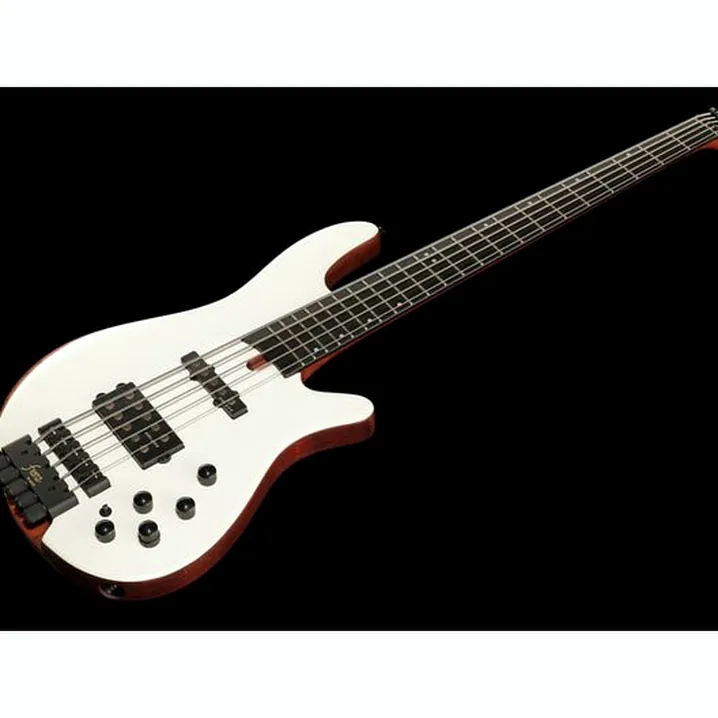 Test e Recensione del basso elettrico Franz Bassguitars Merak 5 Headless White