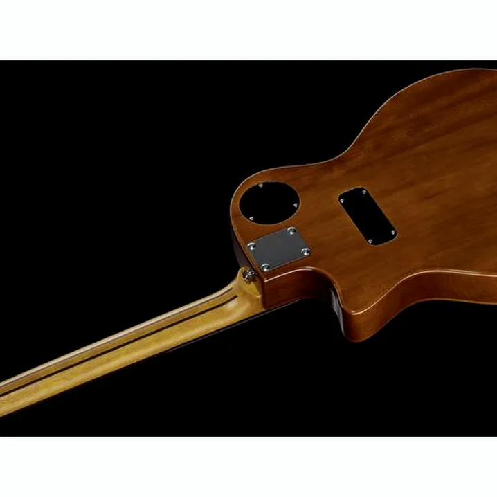 Test e Recensione della chitarra acustica Harley Benton Hybrid Steel NT