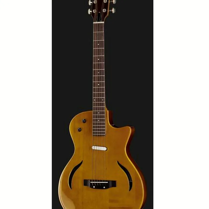 Test e Recensione della chitarra acustica Harley Benton Hybrid Steel NT