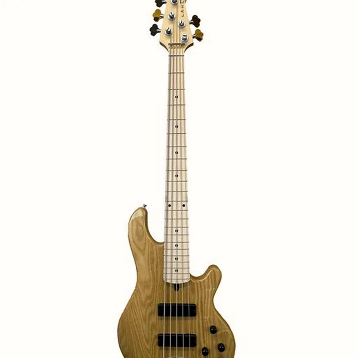 Test e Recensione del basso elettrico Lakland Skyline 55-01 5-String NAT