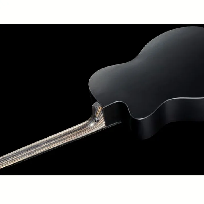Test e Recensione della chitarra acustica Martin Guitars OMCX1E-01