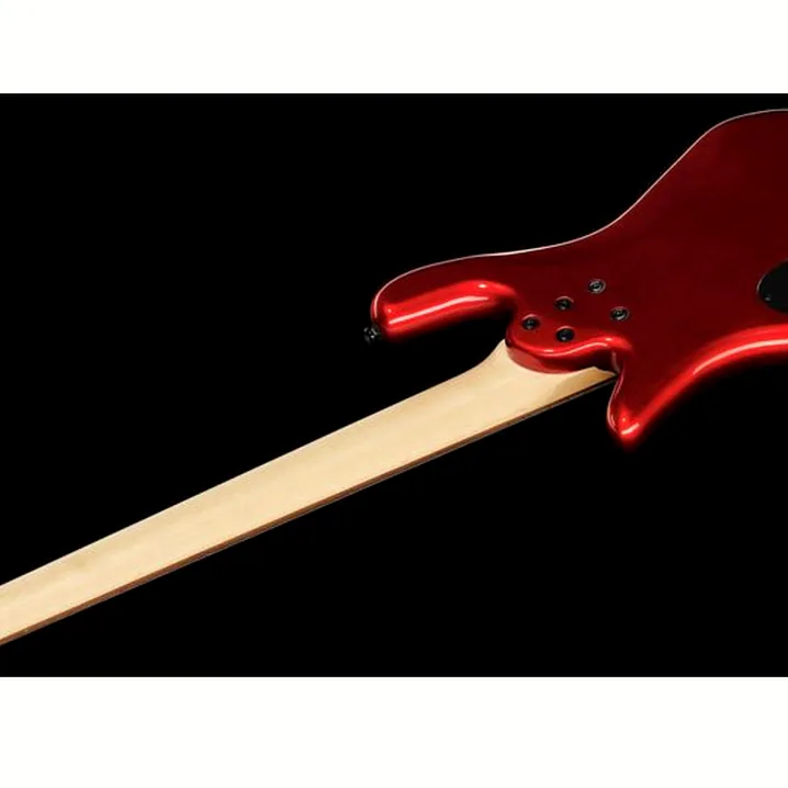 Test e Recensione del basso elettrico Spector Performer 5 MRG