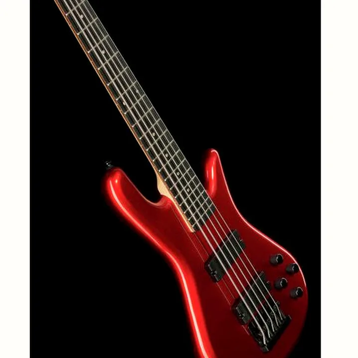 Test e Recensione del basso elettrico Spector Performer 5 MRG