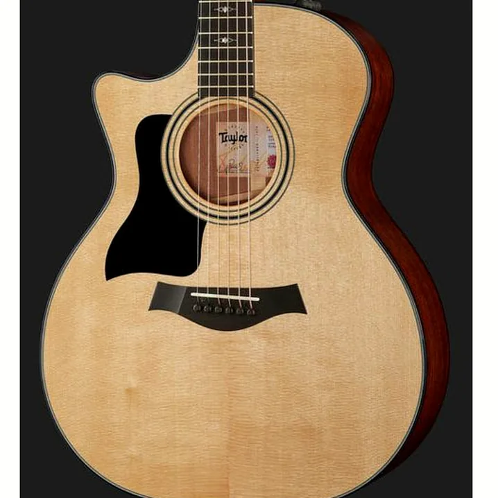 Test e Recensione della chitarra acustica Taylor 314ce LH V-Class Bracing