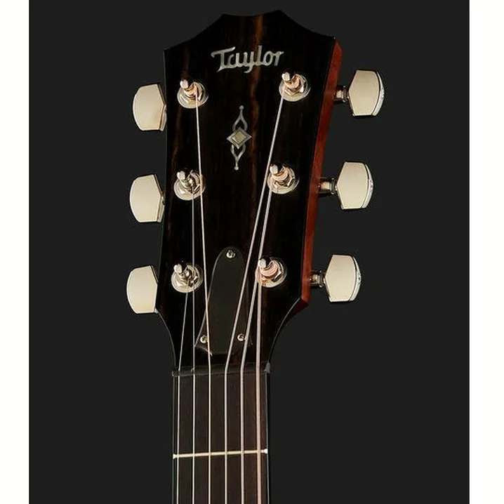Test e Recensione della chitarra acustica Taylor 314ce LH V-Class Bracing