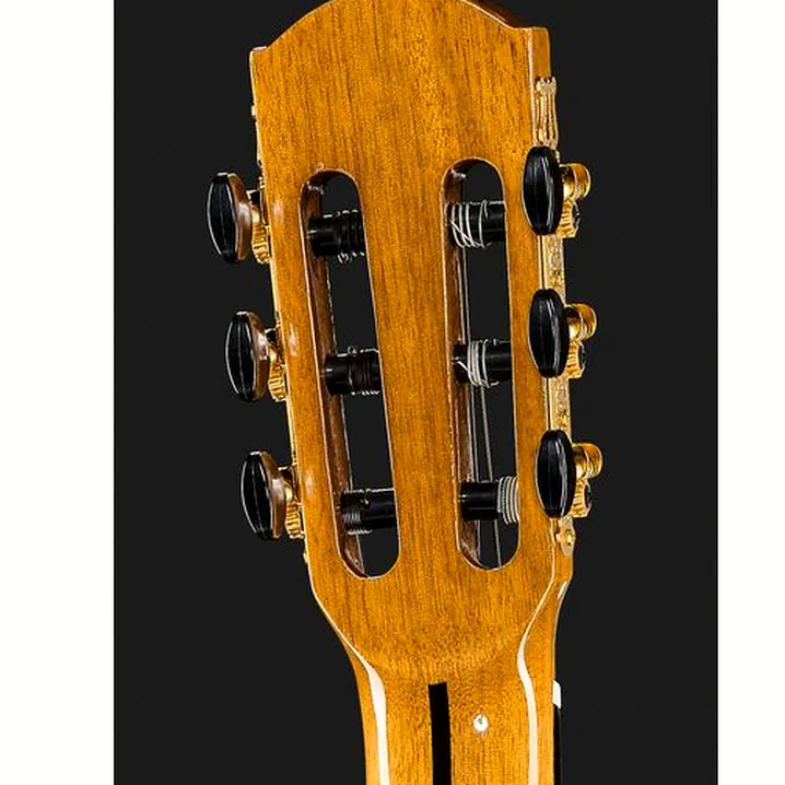 Test e Recensione della chitarra classica Cascha CGC310