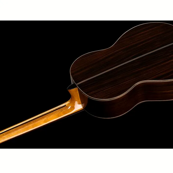 Test e Recensione della chitarra classica Cascha CGC310