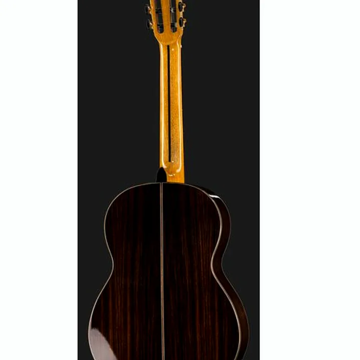 Test e Recensione della chitarra classica Cascha CGC310