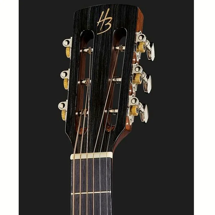 Test e Recensione: Harley Benton CLP-12SM BRS Solid Top