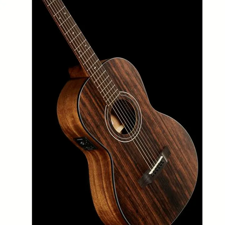 Test e Recensione: Harley Benton CLP-15E Java Exotic