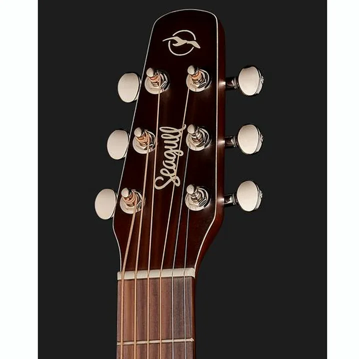 Test e Recensione: Seagull Entourage Autumn Burst Presys