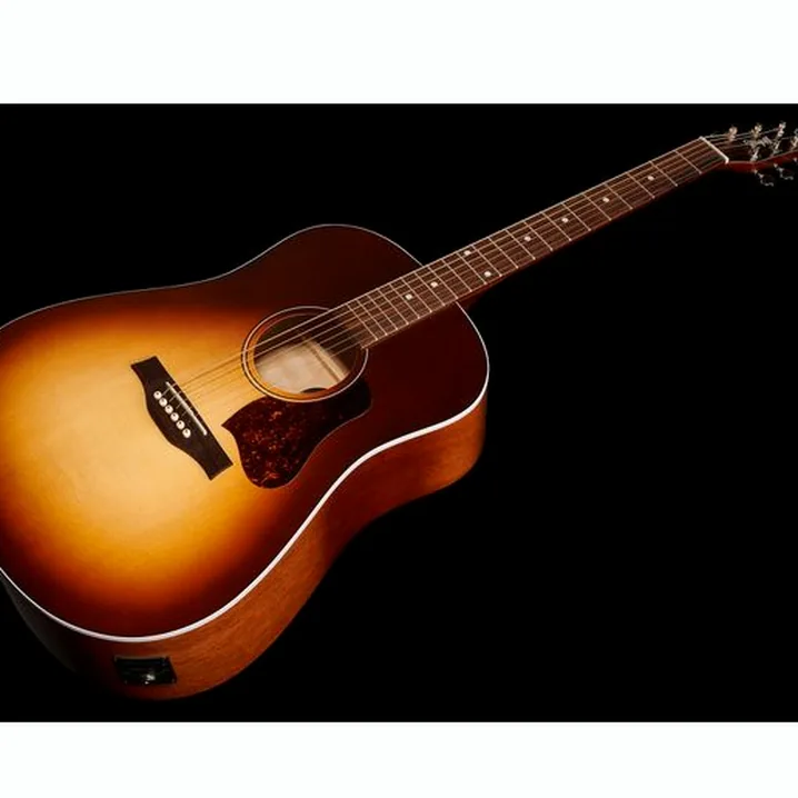 Test e Recensione: Seagull Entourage Autumn Burst Presys
