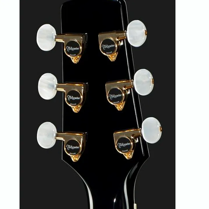 Test e Recensione: Takamine P6N-BSB w/Softcase