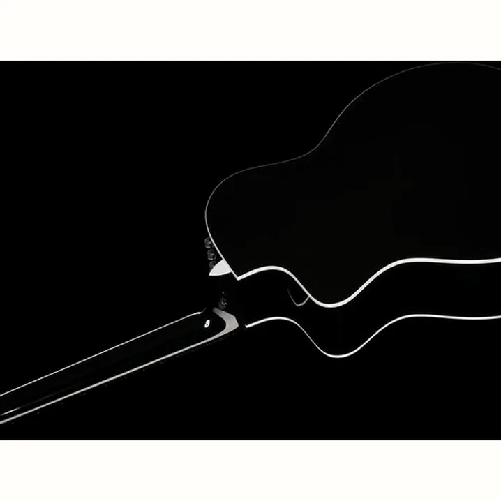 Test e Recensione: Taylor 214ce-N Black Dlx Special Ed