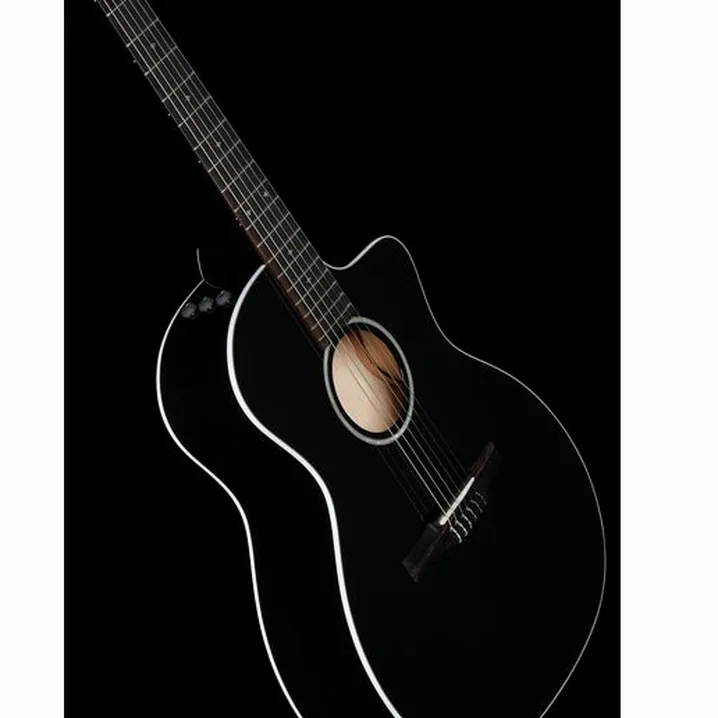 Test e Recensione: Taylor 214ce-N Black Dlx Special Ed