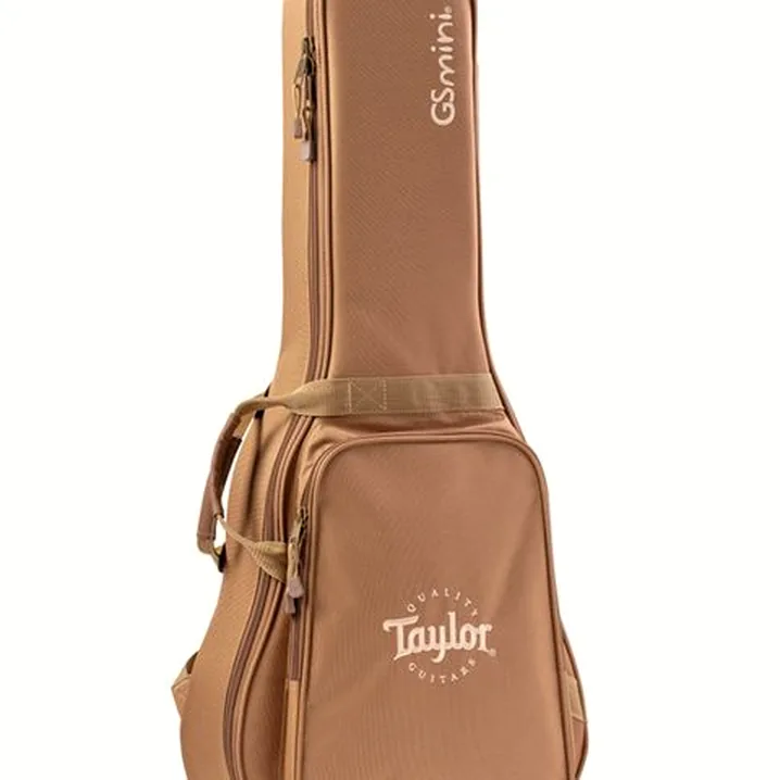 Test e Recensione: Taylor GS Mini-e Special Edition CaBu