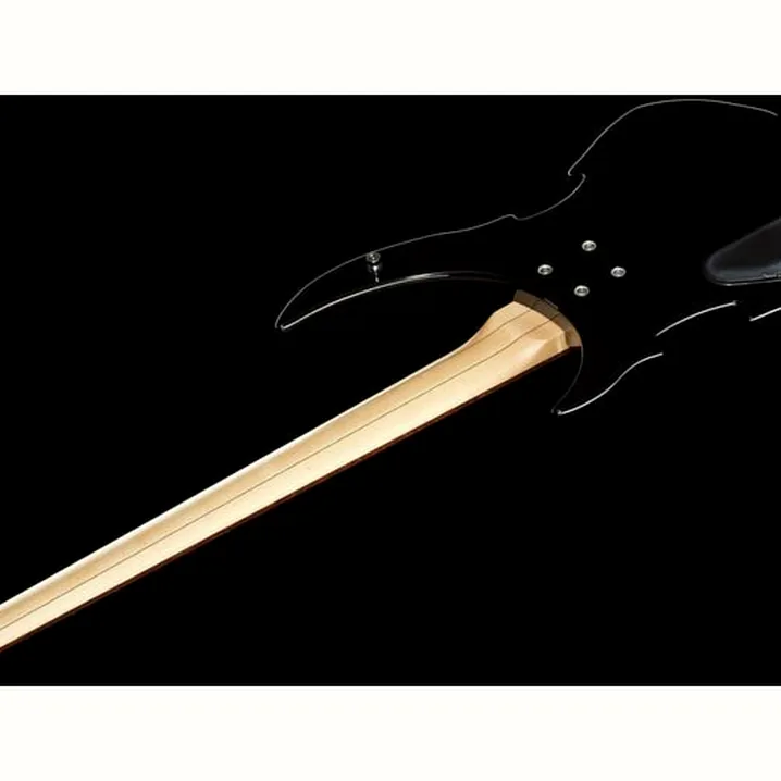 Test, Recensione Basso elettrico Warwick RB Vampyre 4 SB HP