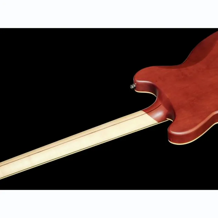 Test, Recensione Chitarra Elettrica DAngelico Deluxe Brighton Matte Walnut