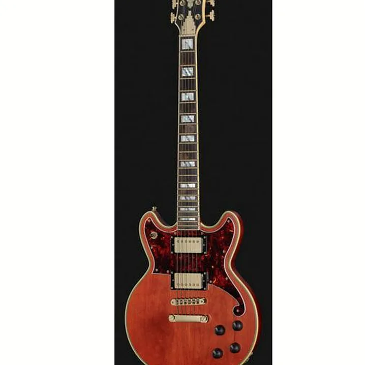 Test, Recensione Chitarra Elettrica DAngelico Deluxe Brighton Matte Walnut