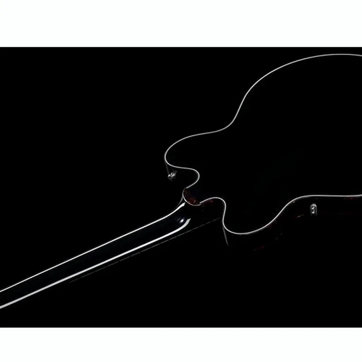 Test, Recensione Chitarra Elettrica Gretsch G6636-RF Richard Fortus Black