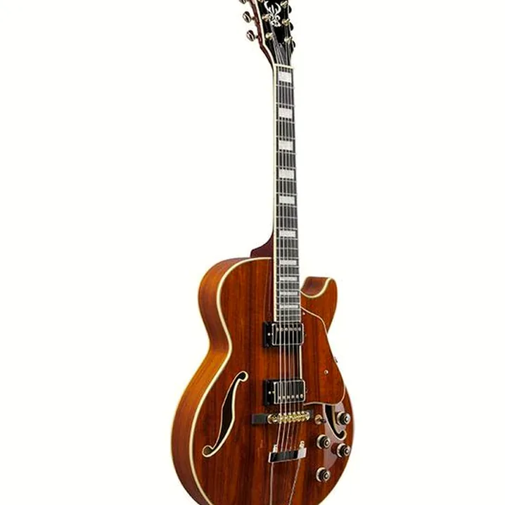 Test, Recensione Chitarra Elettrica Ibanez AG95K-NT