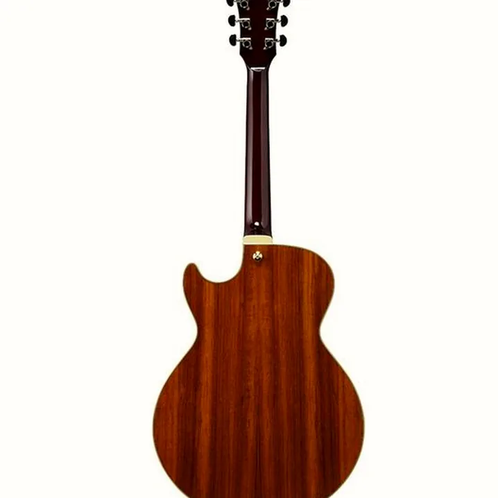 Test, Recensione Chitarra Elettrica Ibanez AG95K-NT