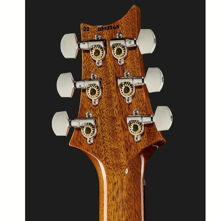 Test, Recensione Chitarra Elettrica PRS Special 22 Semi-Hollow CH