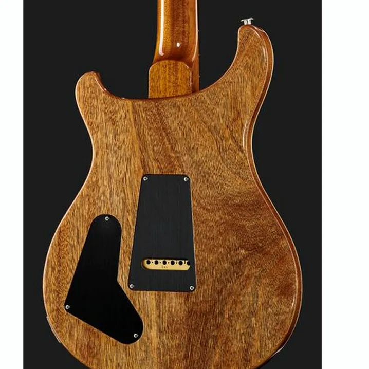 Test, Recensione Chitarra Elettrica PRS Special 22 Semi-Hollow CH