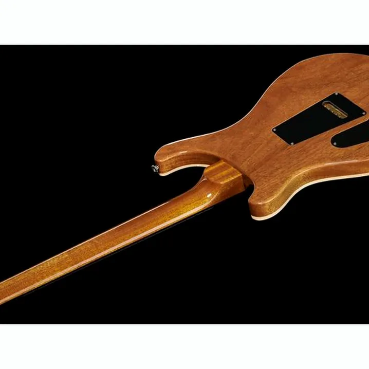 Test, Recensione Chitarra Elettrica PRS Special 22 Semi-Hollow CH