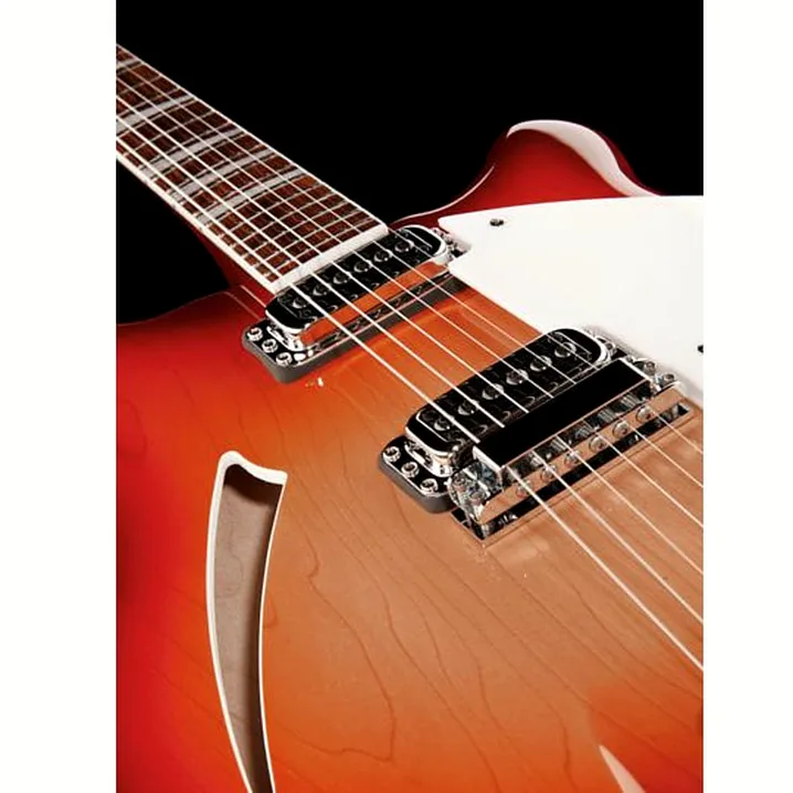 Test, Recensione Chitarra Elettrica Rickenbacker 360 FG
