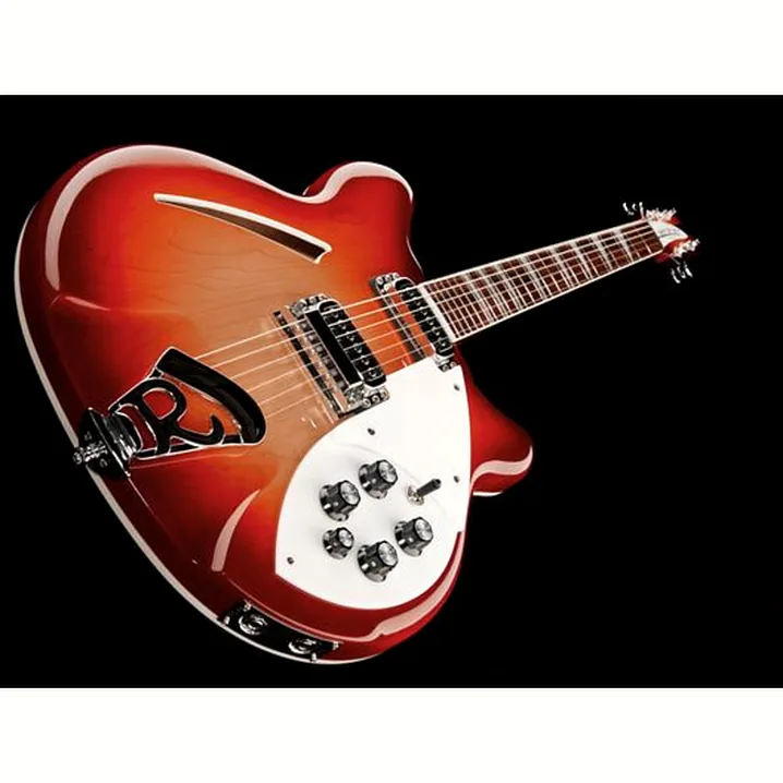 Test, Recensione Chitarra Elettrica Rickenbacker 360 FG
