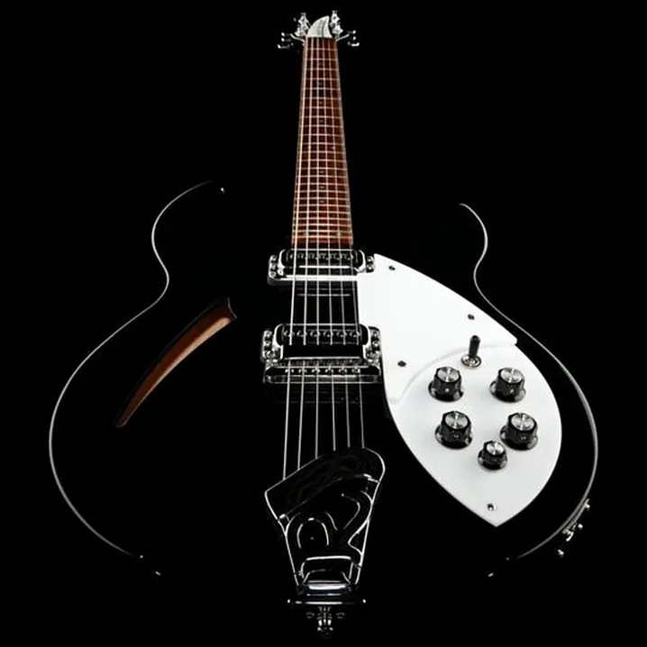 Test, Recensione Chitarra Rickenbacker 330 JG