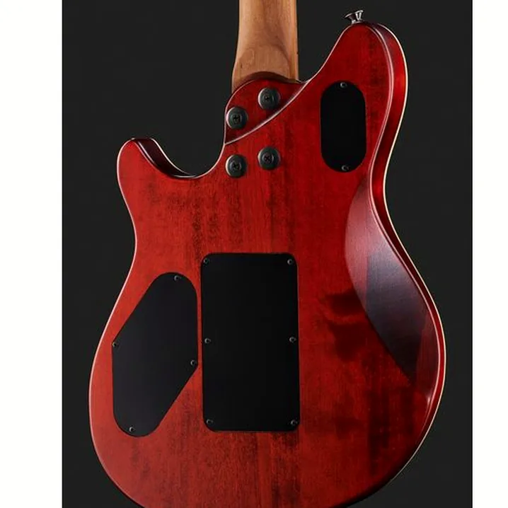 Test, Recensione della chitarra elettrica Evh Wolfgang WG Std Exotic SM