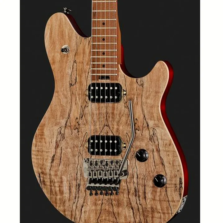 Test, Recensione della chitarra elettrica Evh Wolfgang WG Std Exotic SM
