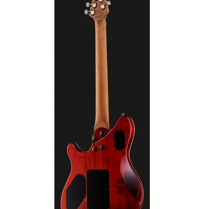 Test, Recensione della chitarra elettrica Evh Wolfgang WG Std Exotic SM